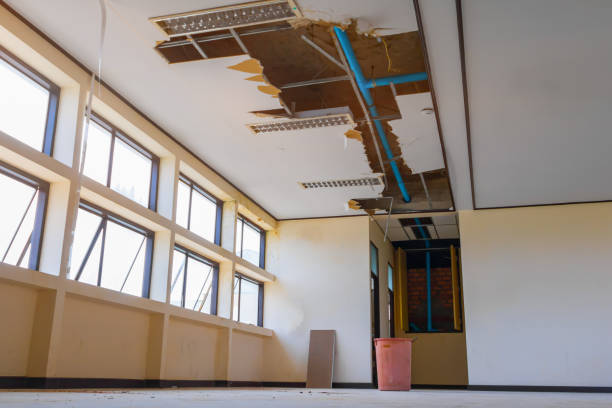 Best Residential water damage restoration  in Southworth, WA