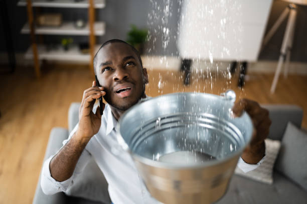 Best Water damage restoration mold remediation  in Southworth, WA