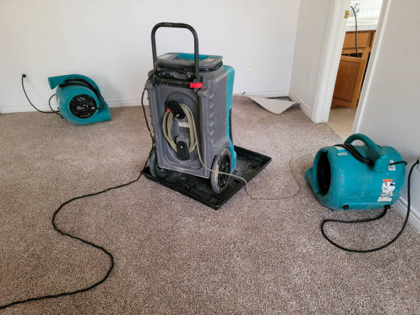 Water damage restoration mold remediation in Southworth, WA