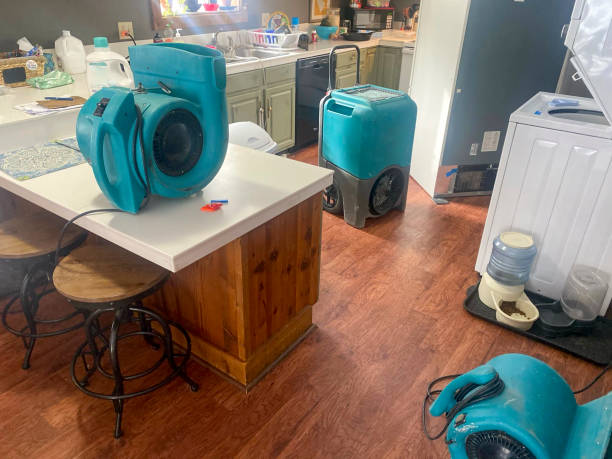 Best Fire Damage Restoration  in Southworth, WA