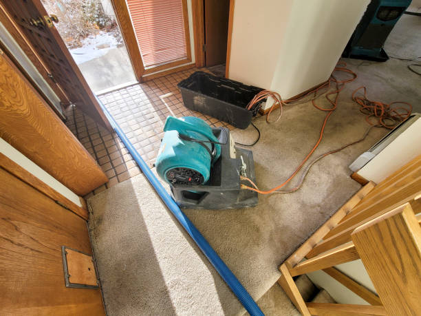 Best Carpet water damage restoration  in Southworth, WA