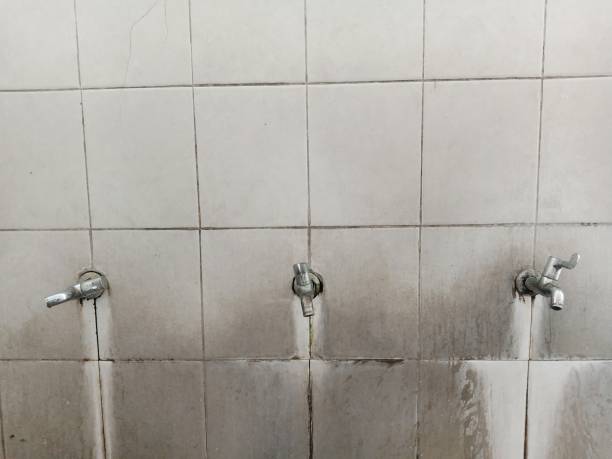  Southworth, WA Water damage restoration Pros