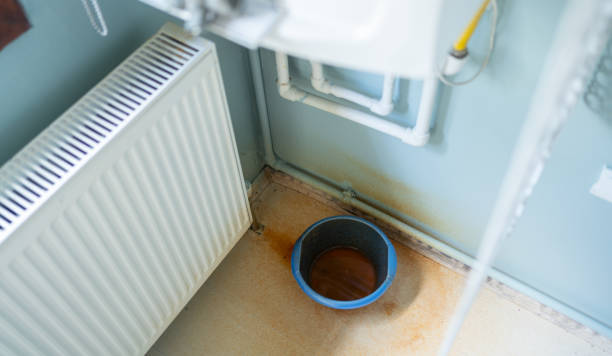  Southworth, WA Water damage restoration Pros