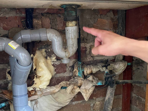Trusted Southworth, WA Water damage restoration Experts