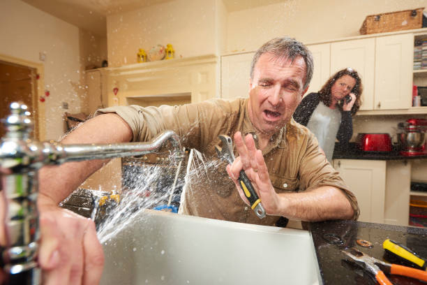 Best Professional water damage repair  in Southworth, WA